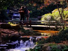 -中国茶叶博物馆(双峰馆区)