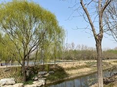 -东郊湿地公园