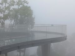 -缙云山景区