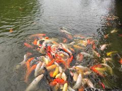 -珠海圆明新园