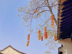 -仓桥直街