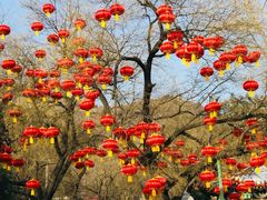 -八大处公园