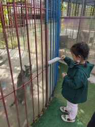 -萌宠亲子动物乐园(槐房万达店)