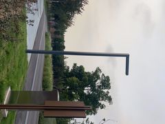 -上海滨江森林公园