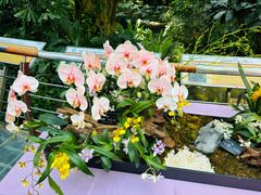 -中国科学院华南植物园
