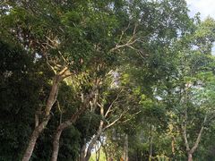 -凤岗南门山森林公园