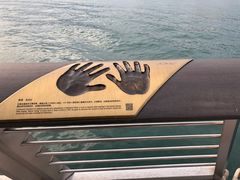 -星光大道