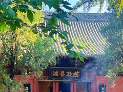-洛阳白马寺