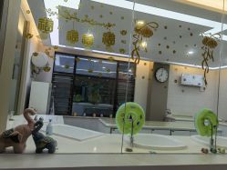 -宝生月子中心(独栋园林·福田店)