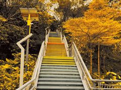 -佛山华盖山公园