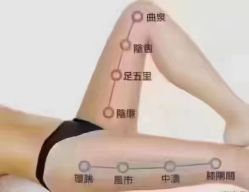 -香薇妮丝·定制减肥·身材管理