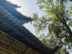 -张掖大佛寺景区