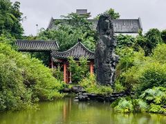 -广州神农草堂中医药博物馆