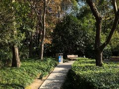 -南翔镇银翔湖公园