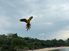 -巴拉湾海滩