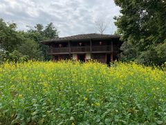 -福建鲤鱼洲酒店