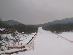 -五家山森林公园滑雪场