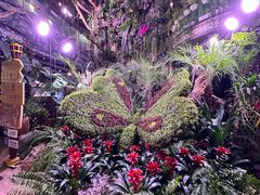 -正佳雨林生态植物园