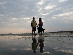 -北海金海湾红树林生态旅游区