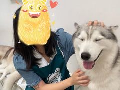 -星多哈·狗咖·拼豆·咖啡