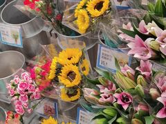 -盒马鲜生(莱蒙都会店)