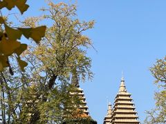 -北京石刻艺术博物馆(五塔寺)