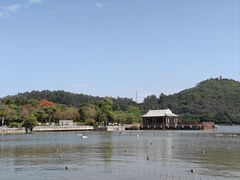 -顺峰山公园