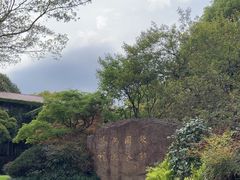 -中国茶叶博物馆(双峰馆区)