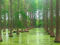 -渌洋湖湿地公园