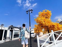 -Blue Concept Cafe&Farm·關於藍