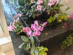 -君来湖滨饭店·渔餐厅