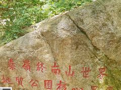 -王顺山国家森林公园