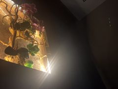 -臻享养生·SPA·影院式足道(汇臻店)