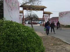 -南汇桃花村
