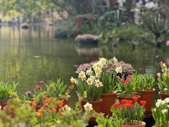 -深圳市中科院仙湖植物园