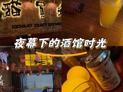 -猫员外精酿啤酒馆(壹海城店)