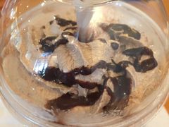 -COSTA COFFEE(水游城店)