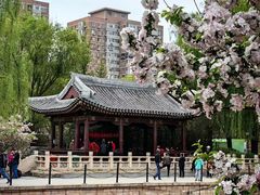 -元大都城垣遗址公园