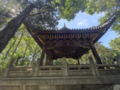 -汇龙潭