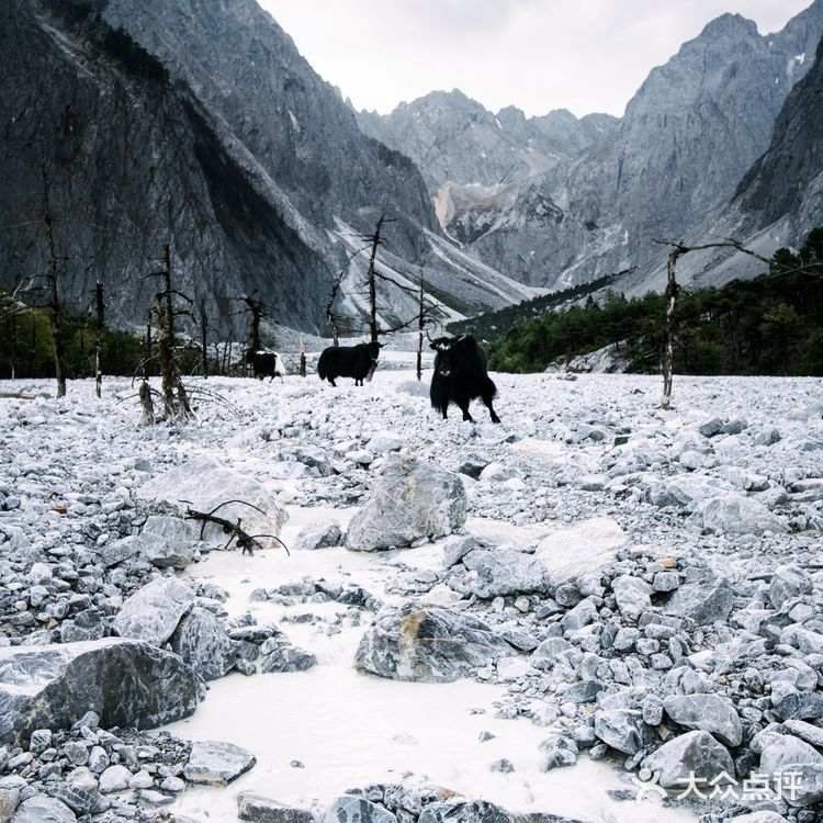 走到世界尽头|玉龙雪山里的冰川痕迹