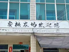 -老袁家蜜桃农场·阳山水蜜桃