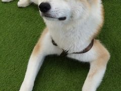 -YCHL Studios健身工作室(市二宫店)