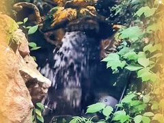 -杭州黄龙洞