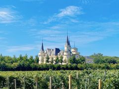 -北京张裕爱斐堡酒庄