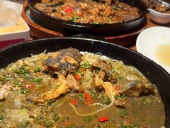 -老板恋上鱼(恒隆广场店)