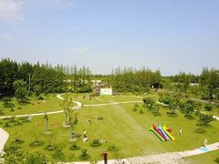 景点-上海长兴岛郊野公园