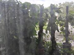 -维也纳酒店(广州南站汉溪长隆地铁站景区店)