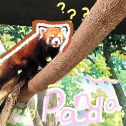 -Zoolung Zoolung动物主题公园(海信广场店)