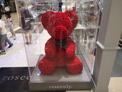 -ROSEONLY诺誓(国际广场购物中心店)