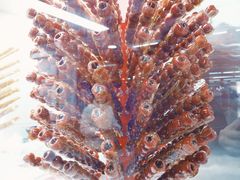 -和禄德冰糖葫芦(东四朝内菜市场店)